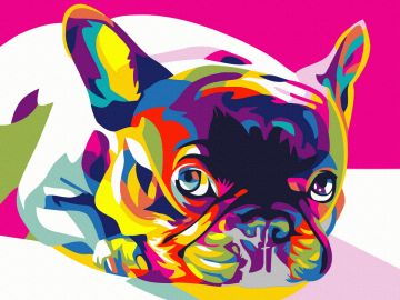 Festmény számokra – Pop art mopsz, 30x40cm