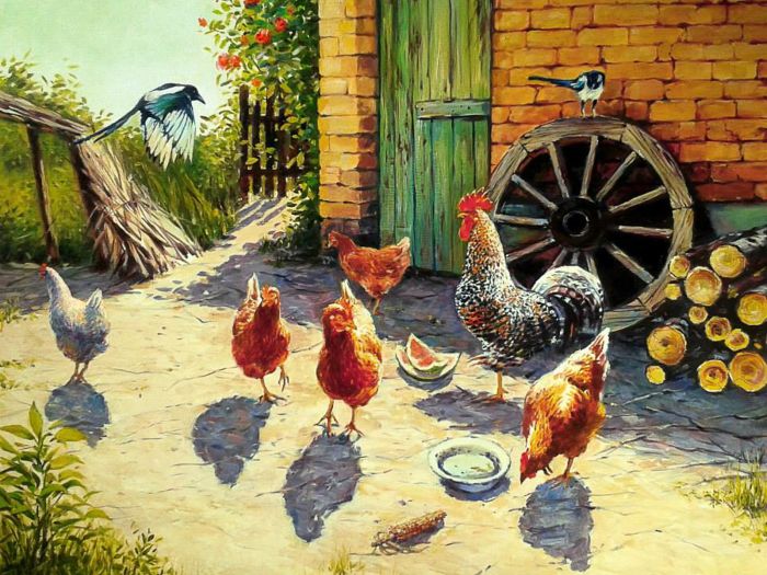 Rejtvény - A kakas királysága - 50x70cm - 1000 darab