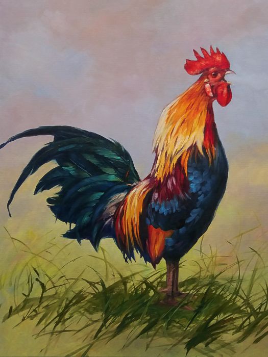 Rejtvény  – Kakas – 50x70cm – 1000 darab