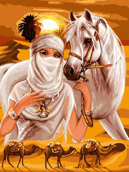 Festmény számokra - Arab szépség, 30x40cm
